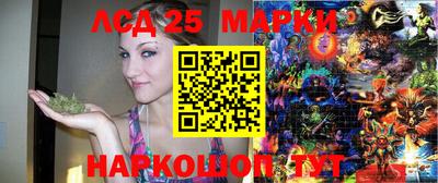 Альфа ПВП Новодвинск