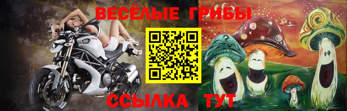 Галлюциногенные грибы ЛСД  Вход с VPN  Новый Уренгой 